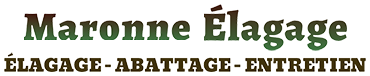 elagage-maronne-elagage-paysagiste